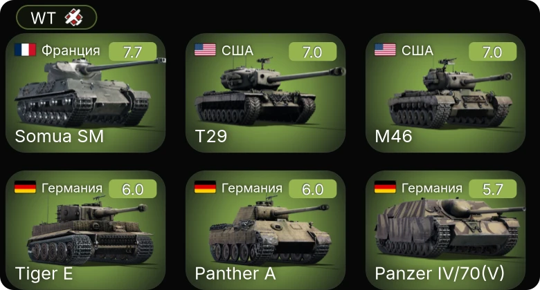 WT — 5 ранг: 1шт