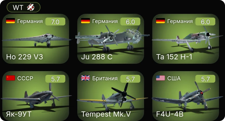 WT — 5 ранг: 1шт