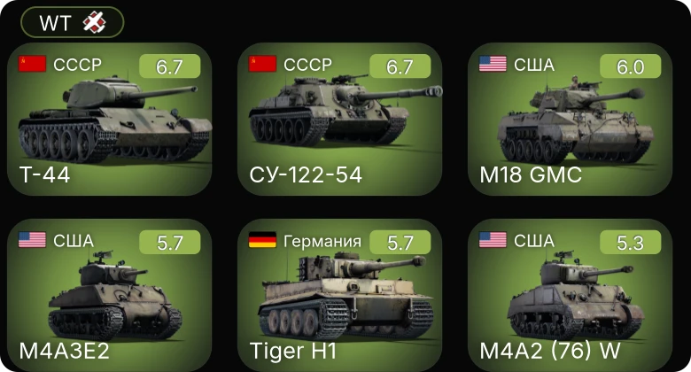 WT — 5 ранг: 1шт