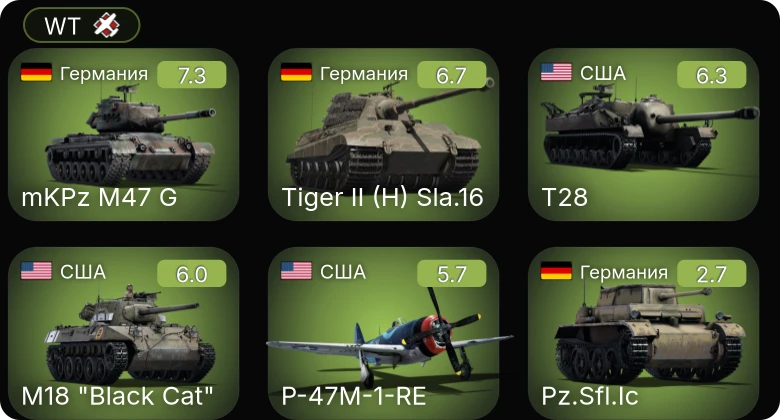 WT — 5 ранг: 1шт