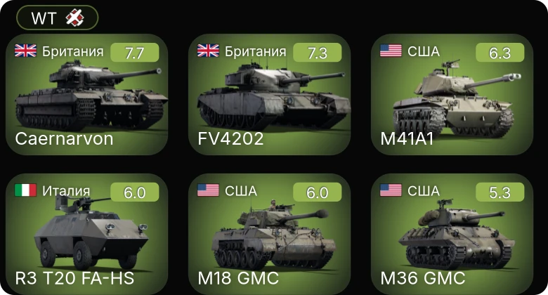WT — 5 ранг: 1шт