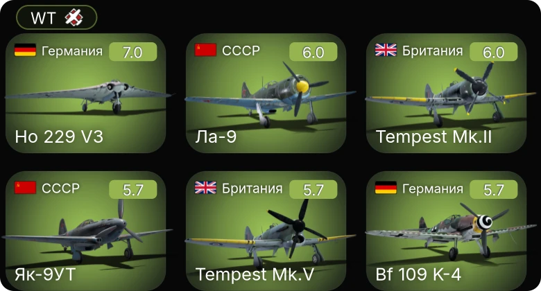 WT — 5 ранг: 1шт