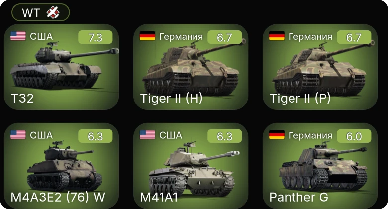 WT — 5 ранг: 1шт