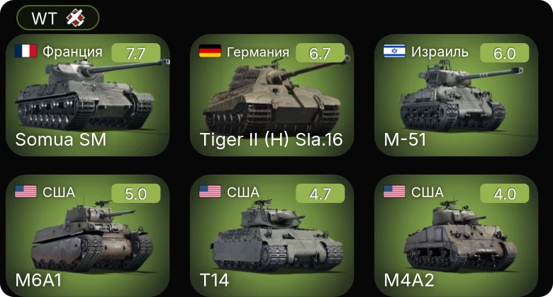 WT — 5 ранг: 1шт