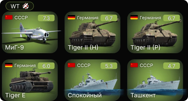 WT — 5 ранг: 1шт
