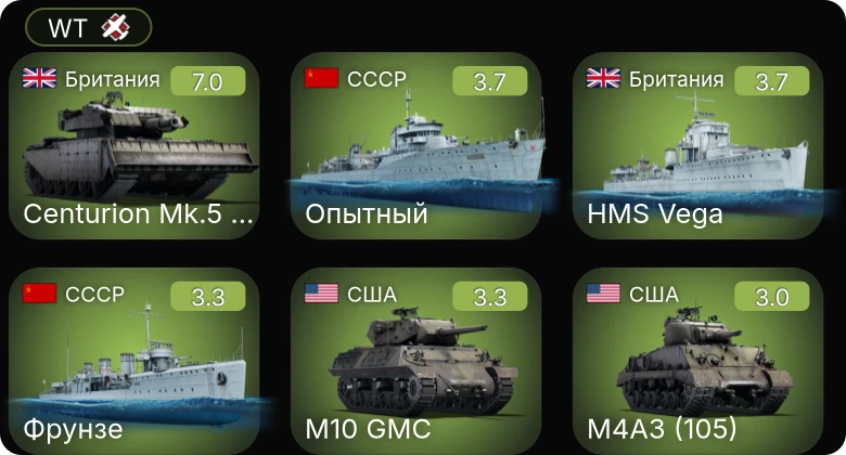 WT — 5 ранг: 1шт