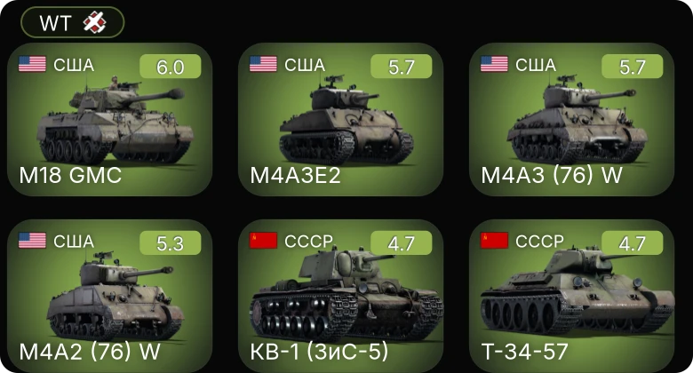 WT — 5 ранг: 2шт